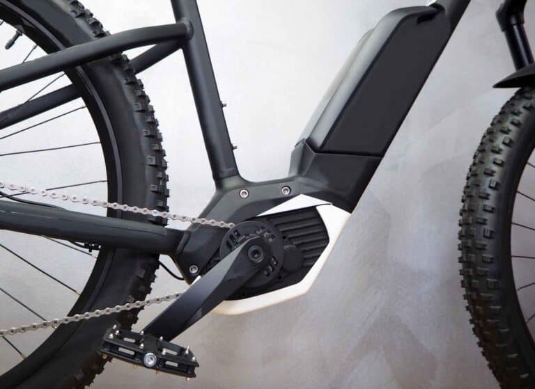 pedal assist e-bike motor