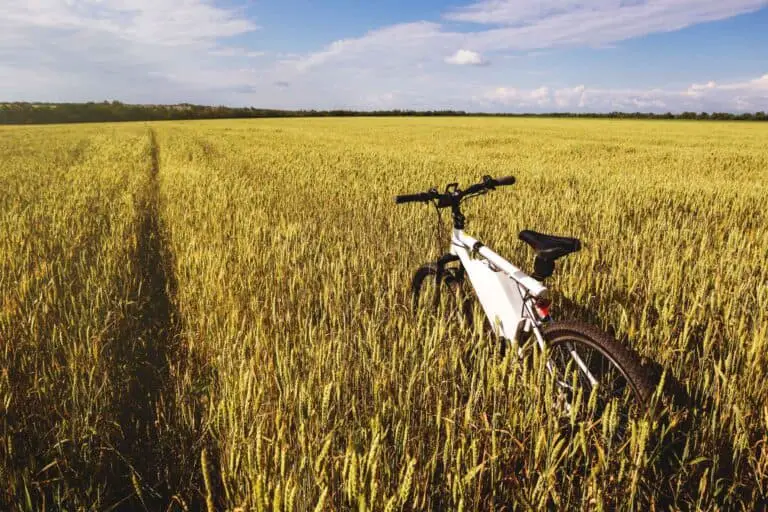 e-bike in wheat field
