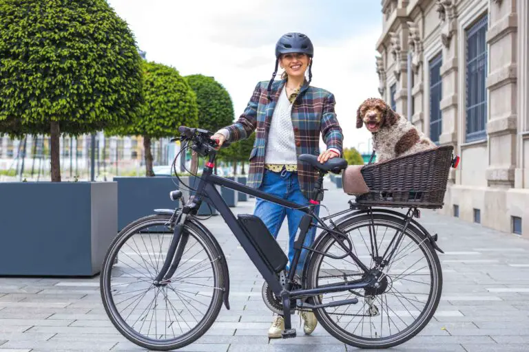 woman with a dog on an e-bike